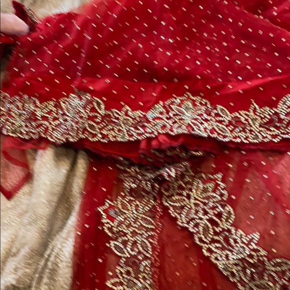 Red net sari - Picture 4 of 4